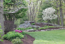 Landscaping and Maintenance